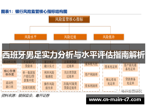 西班牙男足实力分析与水平评估指南解析 西班牙男足实力分析与水平评估指南解析