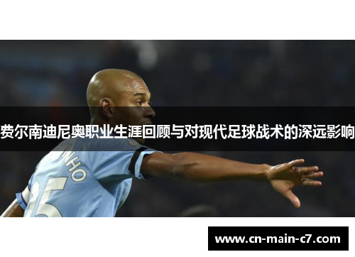 费尔南迪尼奥职业生涯回顾与对现代足球战术的深远影响 费尔南迪尼奥职业生涯回顾与对现代足球战术的深远影响