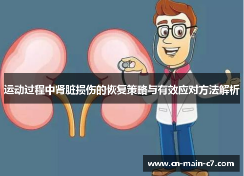 运动过程中肾脏损伤的恢复策略与有效应对方法解析