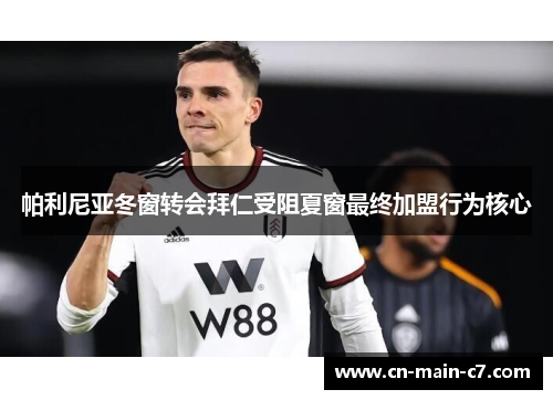 帕利尼亚冬窗转会拜仁受阻夏窗最终加盟行为核心