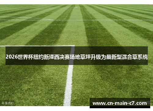 2026世界杯纽约新泽西决赛场地草坪升级为最新型混合草系统