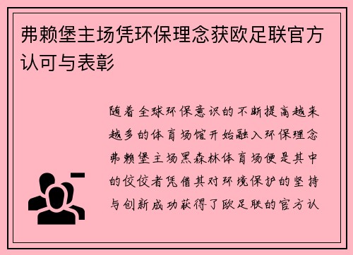 弗赖堡主场凭环保理念获欧足联官方认可与表彰